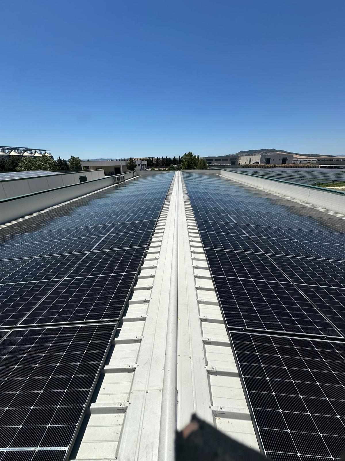 Impianto fotovoltaico industriale - Vista prospettica